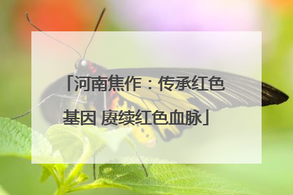 河南焦作：传承红色基因 赓续红色血脉