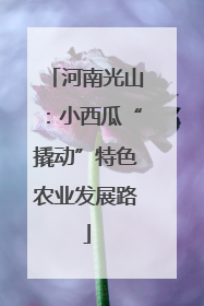 河南光山：小西瓜“撬动”特色农业发展路