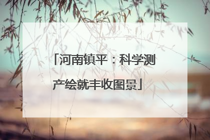 河南镇平：科学测产绘就丰收图景