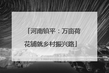 河南镇平：万亩荷花铺就乡村振兴路