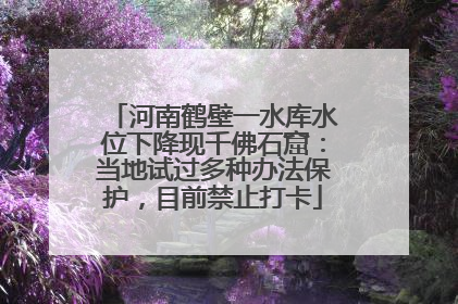 河南鹤壁一水库水位下降现千佛石窟：当地试过多种办法保护，目前禁止打卡