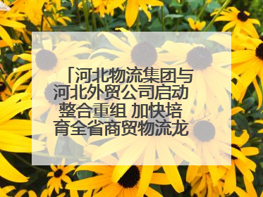 河北物流集团与河北外贸公司启动整合重组 加快培育全省商贸物流龙头企业