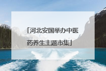 河北安国举办中医药养生主题市集