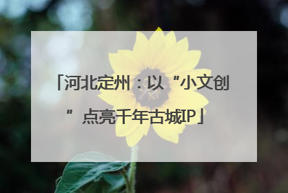 河北定州：以“小文创”点亮千年古城IP