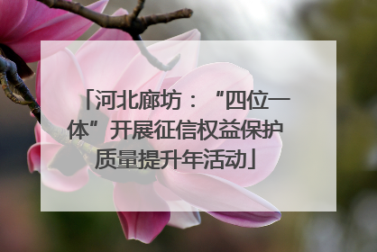 河北廊坊：“四位一体”开展征信权益保护质量提升年活动