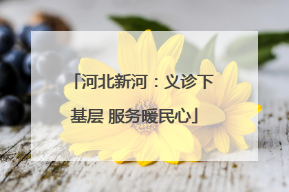 河北新河：义诊下基层 服务暖民心