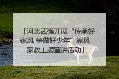 河北武强开展“传承好家风 争做好少年”家风家教主题宣讲活动