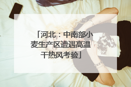 河北：中南部小麦生产区遭遇高温干热风考验
