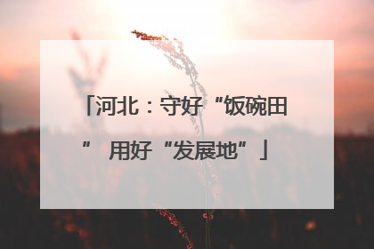 河北：守好“饭碗田” 用好“发展地”