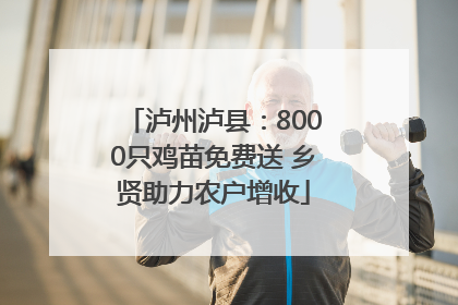 泸州泸县：8000只鸡苗免费送 乡贤助力农户增收