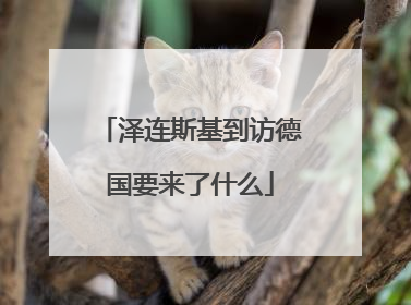 泽连斯基到访德国要来了什么