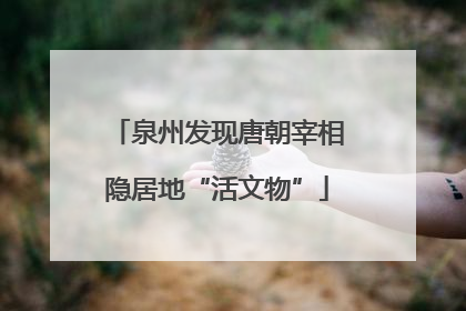 泉州发现唐朝宰相隐居地“活文物”