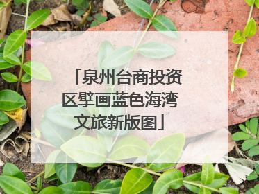 泉州台商投资区擘画蓝色海湾文旅新版图