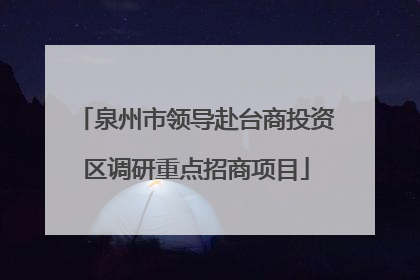 泉州市领导赴台商投资区调研重点招商项目