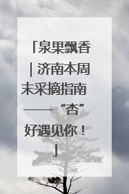 泉果飘香｜济南本周末采摘指南——“杏”好遇见你！