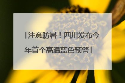 注意防暑！四川发布今年首个高温蓝色预警