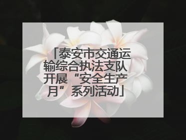 泰安市交通运输综合执法支队开展“安全生产月”系列活动
