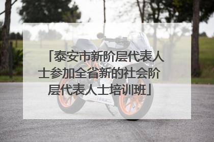 泰安市新阶层代表人士参加全省新的社会阶层代表人士培训班