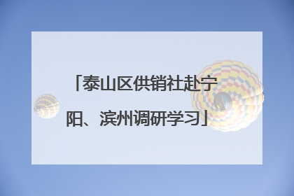 泰山区供销社赴宁阳、滨州调研学习