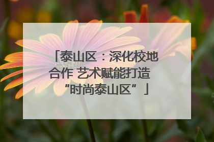 泰山区：深化校地合作 艺术赋能打造“时尚泰山区”