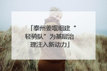 泰州姜堰组建“轻骑队”为基层治理注入新动力