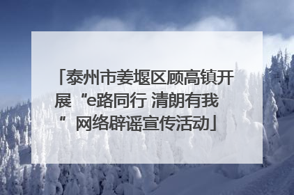 泰州市姜堰区顾高镇开展“e路同行 清朗有我”网络辟谣宣传活动