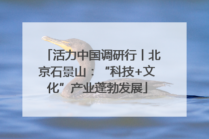 活力中国调研行丨北京石景山：“科技+文化”产业蓬勃发展