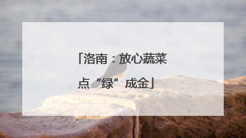 洛南：放心蔬菜点“绿”成金
