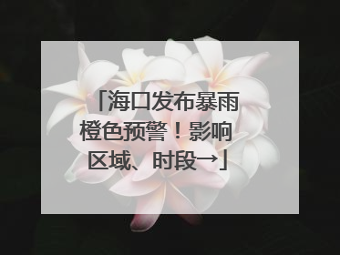 海口发布暴雨橙色预警！影响区域、时段→