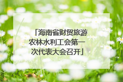 海南省财贸旅游农林水利工会第一次代表大会召开