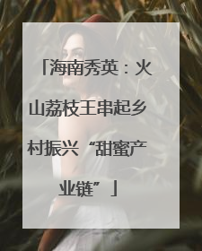 海南秀英：火山荔枝王串起乡村振兴“甜蜜产业链”