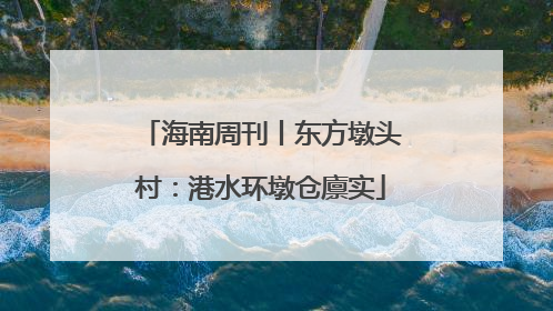 海南周刊丨东方墩头村：港水环墩仓廪实