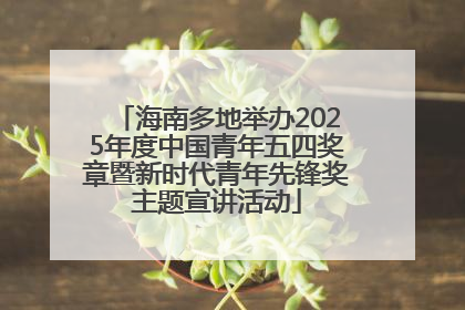 海南多地举办2025年度中国青年五四奖章暨新时代青年先锋奖主题宣讲活动