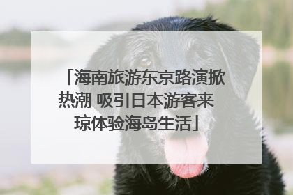 海南旅游东京路演掀热潮 吸引日本游客来琼体验海岛生活