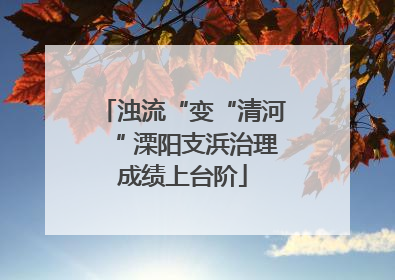 浊流“变“清河“ 溧阳支浜治理成绩上台阶