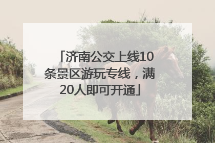 济南公交上线10条景区游玩专线，满20人即可开通