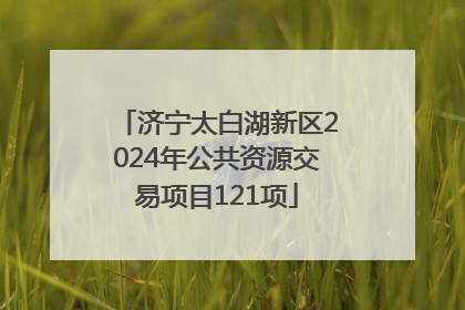 济宁太白湖新区2024年公共资源交易项目121项