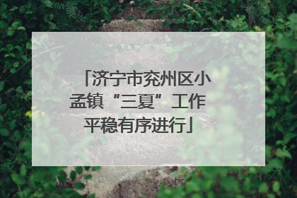 济宁市兖州区小孟镇“三夏”工作平稳有序进行