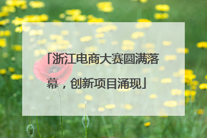 浙江电商大赛圆满落幕，创新项目涌现