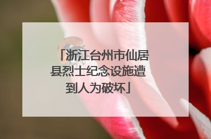 浙江台州市仙居县烈士纪念设施遭到人为破坏