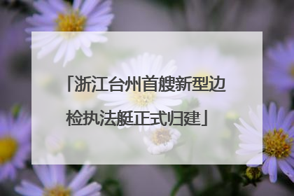 浙江台州首艘新型边检执法艇正式归建