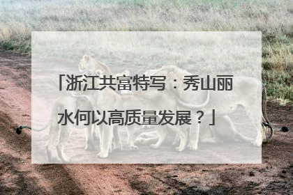 浙江共富特写：秀山丽水何以高质量发展？