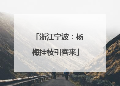 浙江宁波：杨梅挂枝引客来