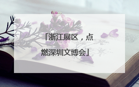 浙江展区，点燃深圳文博会