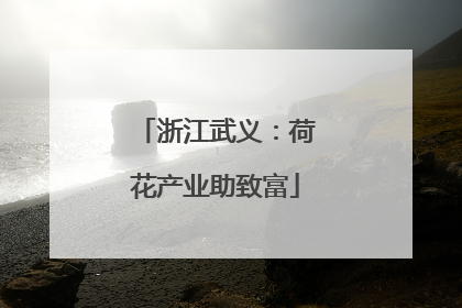 浙江武义：荷花产业助致富
