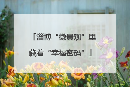 淄博“微景观”里藏着“幸福密码”