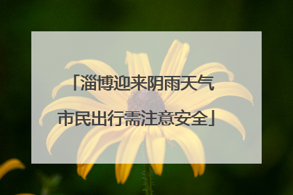淄博迎来阴雨天气 市民出行需注意安全