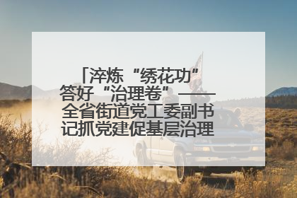 淬炼“绣花功” 答好“治理卷”——全省街道党工委副书记抓党建促基层治理培训示范班侧记