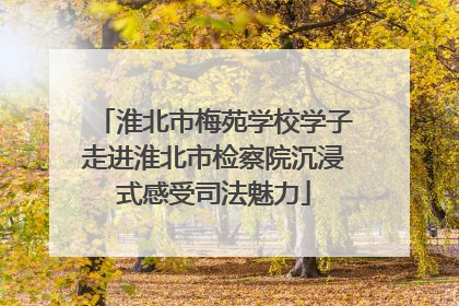 淮北市梅苑学校学子走进淮北市检察院沉浸式感受司法魅力