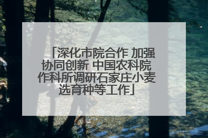 深化市院合作 加强协同创新 中国农科院作科所调研石家庄小麦选育种等工作